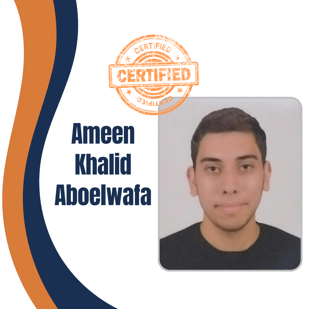 Ameen Khalid Ameen Aboelwafa